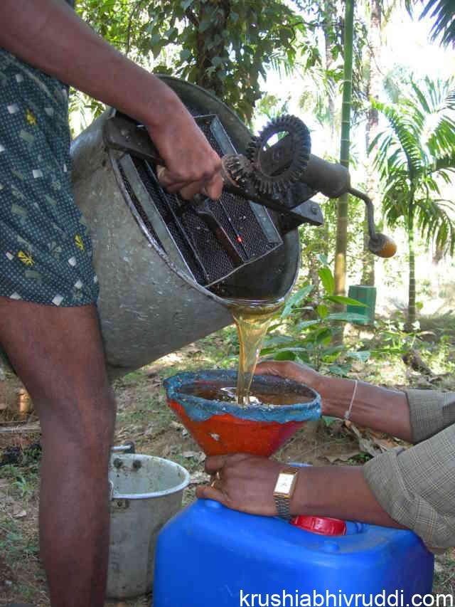 ಜೇನು ಸಂಗ್ರಹಣೆ