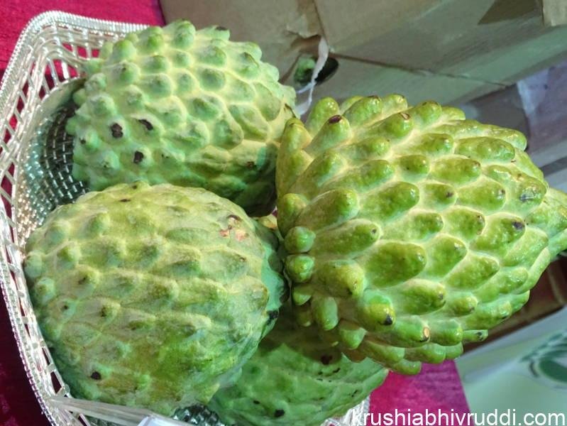 ಸೀತಾಫಲವೂ ಲಕ್ಷ್ಮಣ ಫಲದಂತೆ ಔಷಧೀಯ