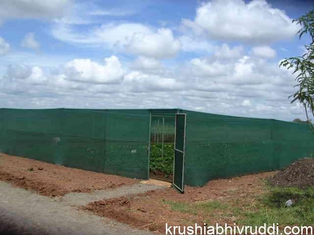 Shade net house