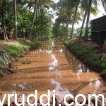 ಮೊದಲ ಮಳೆಯ ಈ ಕೆನ್ನೀರು ಅಸಾಧಾರಣ ಶಕ್ತಿ ಹೊಂದಿದೆ
