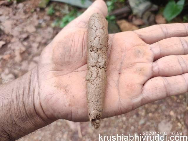 ನಾವೇ ಮಣ್ಣು ಪರೀಕ್ಷಿಸುವ ವಿಧಾನ