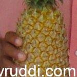 ಅನನಾಸು ಹಣ್ಣು