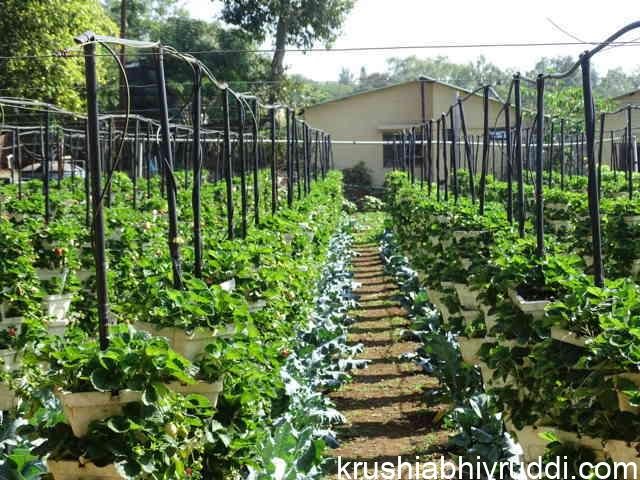 vertical farming