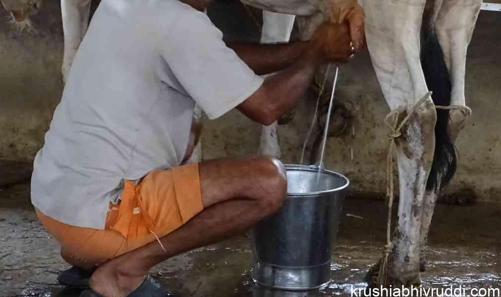 ಹಾಲು ಕರೆಯುವುದು