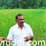 ಭತ್ತದ ಬೆಳೆ ಹೊಲದಲ್ಲಿ ನವೀನ್ ಚಂದ್ರ ಜೈನ್ -Naveen chandra jain