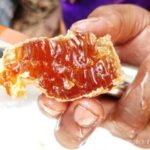 honey comb