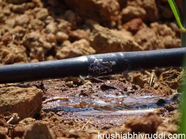 inline drip