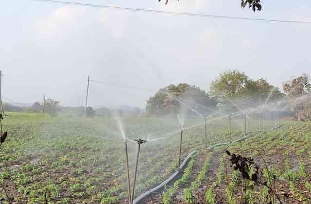 sprinkler installation