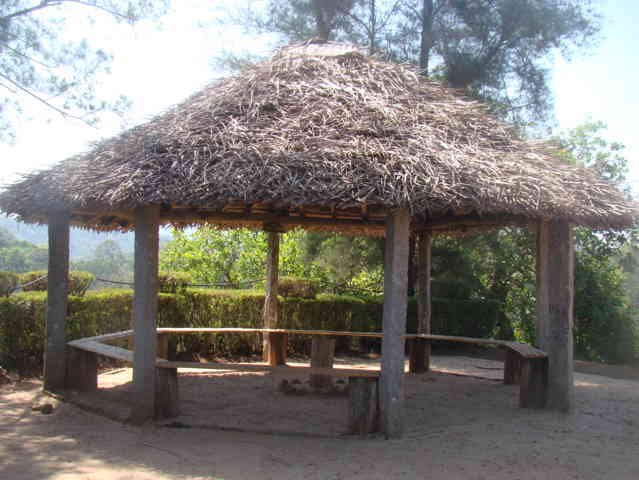 Organic University