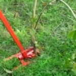 root puller