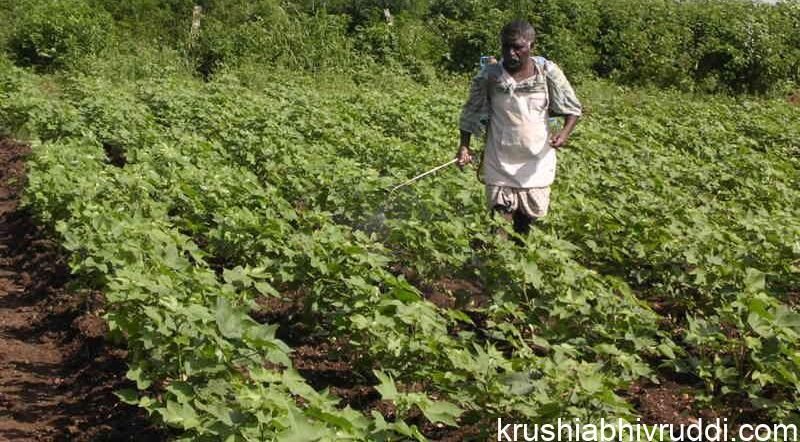 weedicide spraying