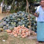 farmer selling pumpkins