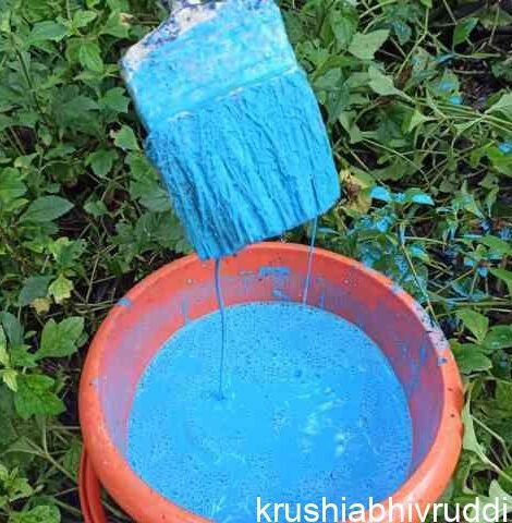 ಬೊರ್ಡೋ ಪೇಸ್ಟ್- Bordeaux paint
