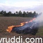 sugarcane trash burning