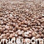 ಉತ್ತಮ ಚಾಲಿ ಅಡಿಕೆ