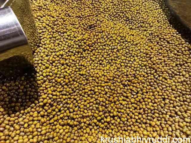 ಹೆಸರು
