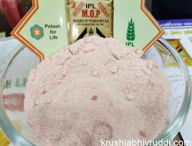 ಪೊಟ್ಯಾಶಿಯಂ ಕ್ಲೋರೈಡ್