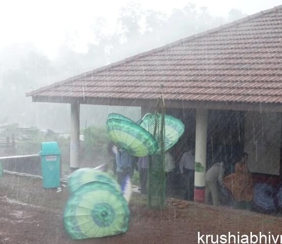 ಗಾಳಿ ಮಳೆ