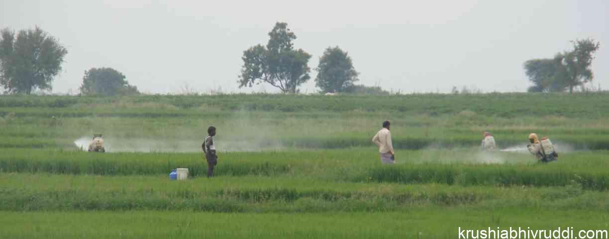 ನ್ಯಾನೊ ಸಾರಜನಕ (ಸಾಂದರ್ಭಿಕ ಚಿತ್ರ