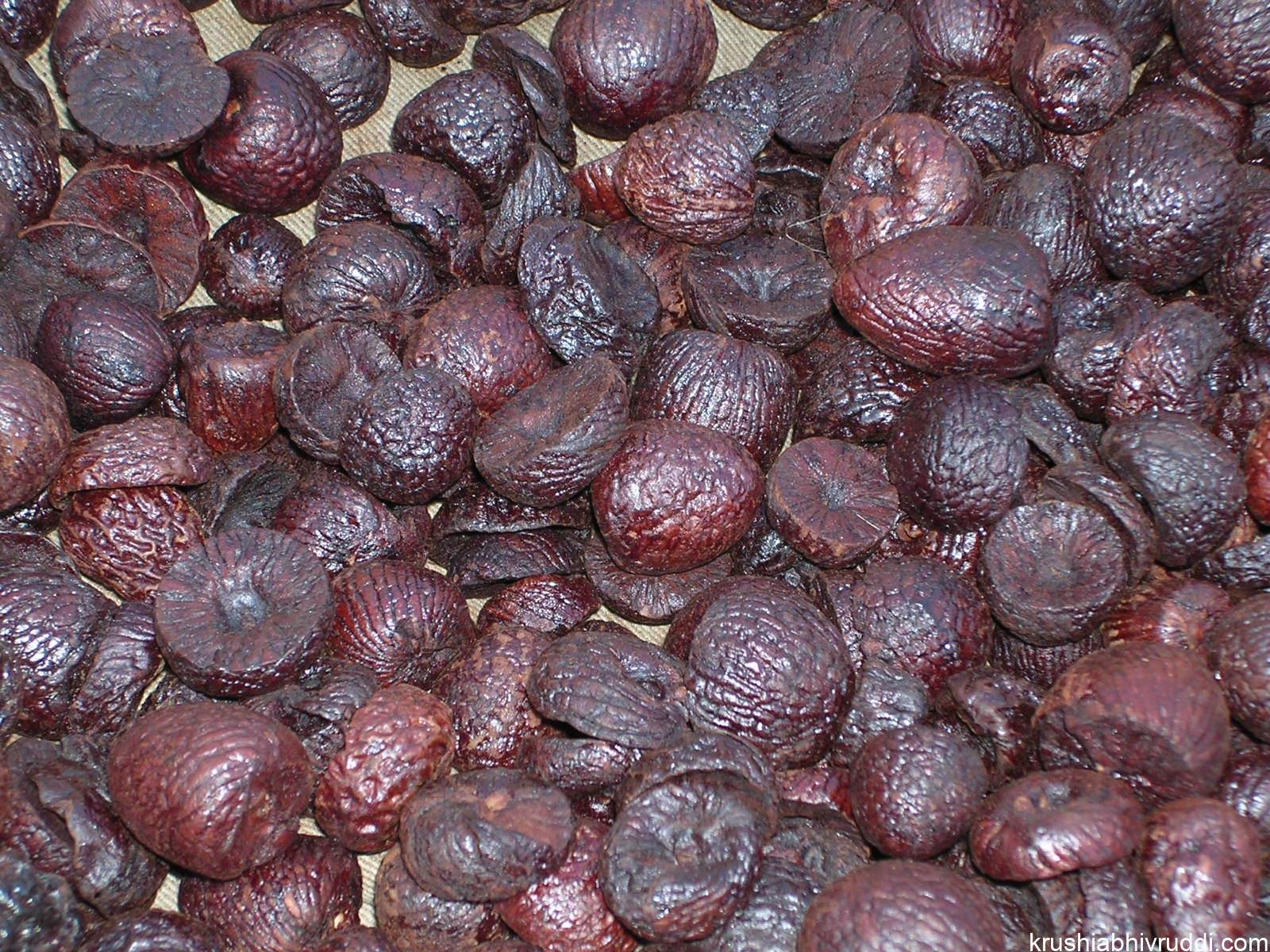 ಬೇಯಿಸಿದ ಬೆಟ್ಟೆ ಅಡಿಕೆ
