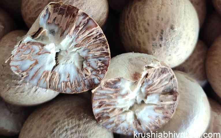 ಫಸ್ಟ್ ಕ್ವಾಲಿಟಿ ಚಾಲಿ