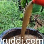 ಸಾವಯವ ರಸಗೊಬ್ಬರ – ರಾಸಾಯನಿಕ ಗೊಬ್ಬರಕ್ಕೆ ಪರ್ಯಾಯ.