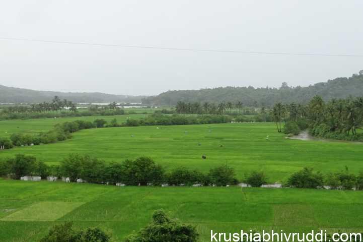 'ಪೂರ್ವ ಶಿಷ್ಟ ಪದ್ದತಿ'ಗಳನ್ನು ಪಾಲಿಸಿದ ಕೃಷಿ