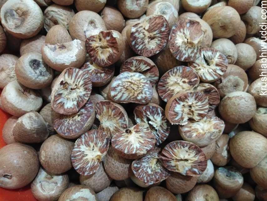 ಹಳೆ ಆಡಿಕೆ