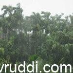 ಮಳೆ ಬರುವ ಮುನ್ಸೂಚನೆ