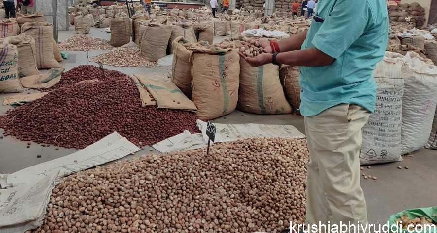 ಅಡಿಕೆ ಮಾರುಕಟ್ಟೆ ಸ್ಥಿತಿ ಮುಂದೆ ಏನಾಗಬಹುದು? ಹೊಸ ಚಾಲಿ 50000 ನಿರೀಕ್ಷೆ.