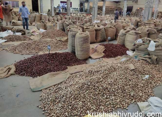 ಅಡಿಕೆಯ ಧಾರಣೆ ಏನಾಗಬಹುದು? ಇಳಿಕೆಯೋ ಏರಿಕೆಯೋ