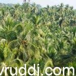 ನವೆಂಬರ್ 19-20-21-22-23 ದಿನಗಳಲ್ಲಿ ವಿಶೇಷ ಕಿಸಾನ್ ಮೇಳ.