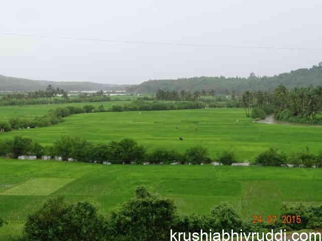 ಕೆಲಸದವರು ಇಲ್ಲದೆ ಕೃಷಿ ಮುಂದುವರಿಯಬಹುದೇ?