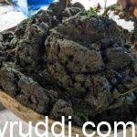 ಒಂದು ಬುಟ್ಟಿ ಸಗಣಿಗೆ ಬೆಲೆ ರೂ.500 ಕ್ಕೂ ಹೆಚ್ಚು!