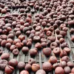 ಕೆಂಪಡಿಕೆ ಧಾರಣೆ 49000 ಕ್ಕೆ ಏರಿದೆ- ಚಾಲಿ ಸಹ ಸಧ್ಯವೇ ಏರುತ್ತದೆ.