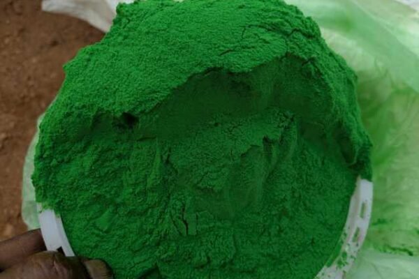 Micronutrients in Horticulture Crops: Key to Healthy Growth and High Yields