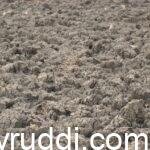 Aerobic vs Anaerobic Soil Conditions: How They Affect Plant Growth and Health