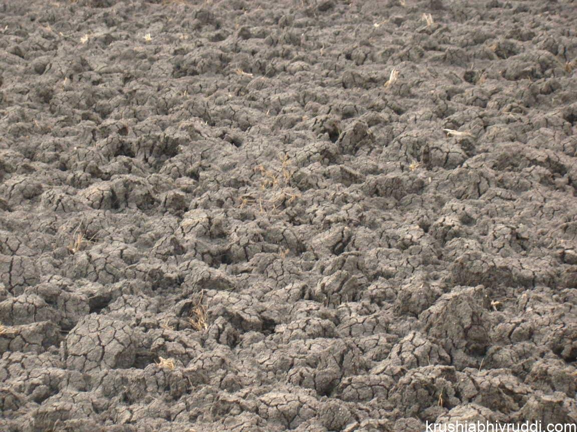 Aerobic vs Anaerobic Soil Conditions: How They Affect Plant Growth and Health