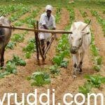 ಸೂರ್ಯನ ಬೆಳಕು, ಸಾತ್ವಿಕ ಆಹಾರ –ಎಲುಬು ಮತ್ತು ನರಗಳ ಸಮಸ್ಯೆಯನ್ನು ದೂರ ಮಾಡುತ್ತವೆ.