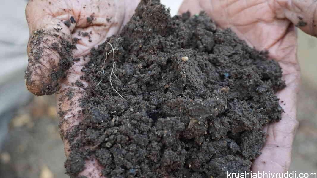 Keep Your Soil Healthy Without Lime – The Natural Way to Maintain Neutral Soil