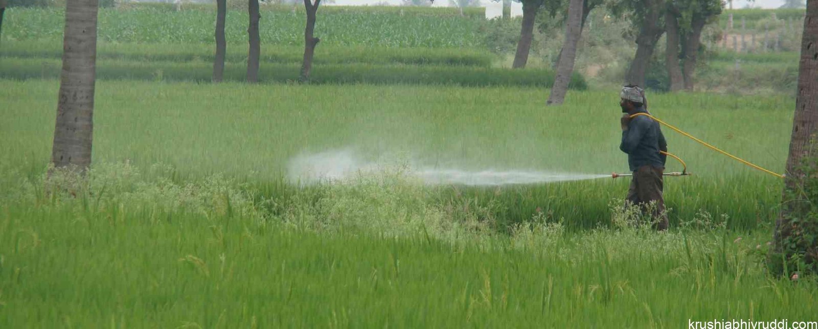 Systematic Use of Pesticides and Fungicides: The Right Dose, Right Method