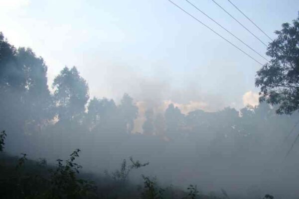 ಮೋಡದ ಹವಾಮಾನ