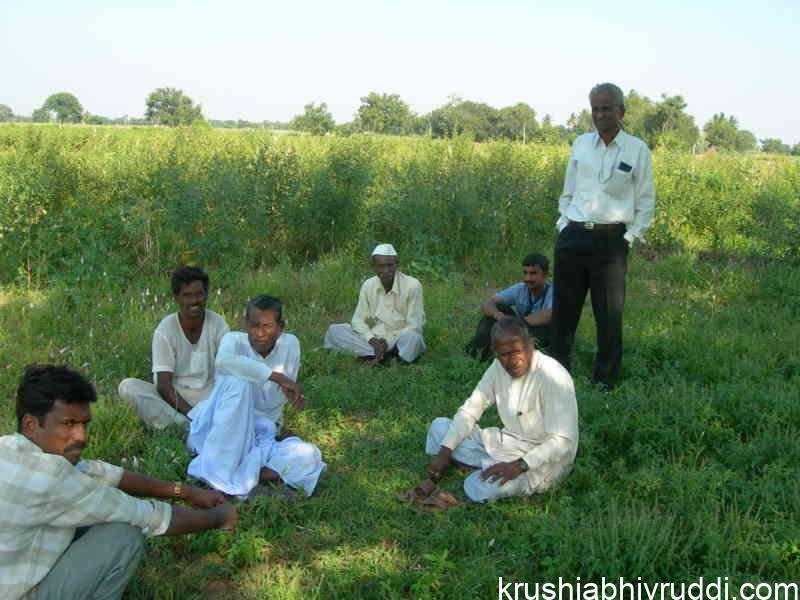 The Silent Enemies in Indian agriculture