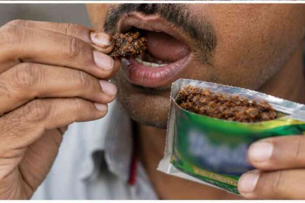 ಗುಟ್ಕಾ ನಿಷೇಧ